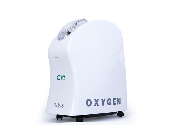 높은 산소 순수성 휴대용 공기 집중 장치, 작은 휴대용 산소 집중 장치